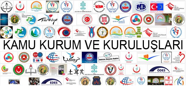 Kamu Kurum ve Kuruluşları Web tasarım ve yazılımı