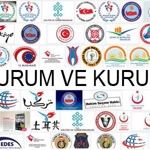 Kamu Kurum ve Kuruluşları Web tasarım ve yazılımı